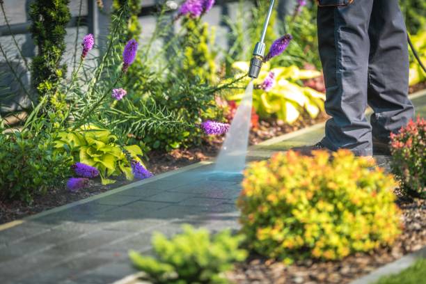 Best Fence Cleaning  in East Prairie, MO